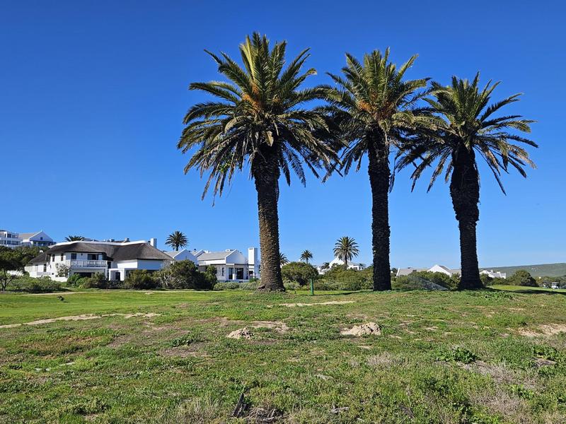 0 Bedroom Property for Sale in Shelley Point Western Cape